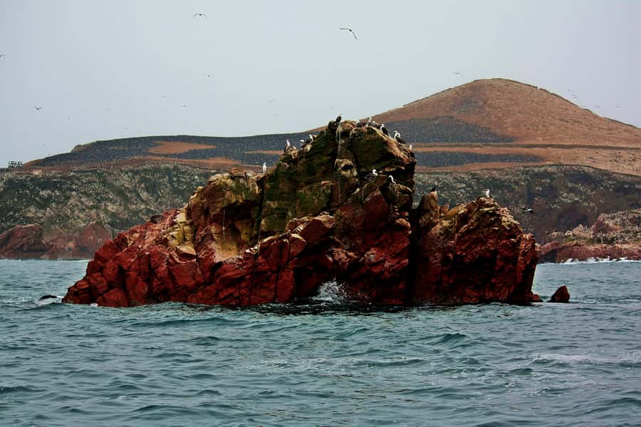 Paracas: Ballestas Islands and Candelabra of Paracas Boat - Safety, comfort, and the Pacific wind
