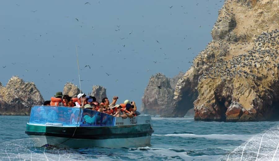 Paracas: Ballestas Islands and Candelabra of Paracas Boat - Is $25 good value?