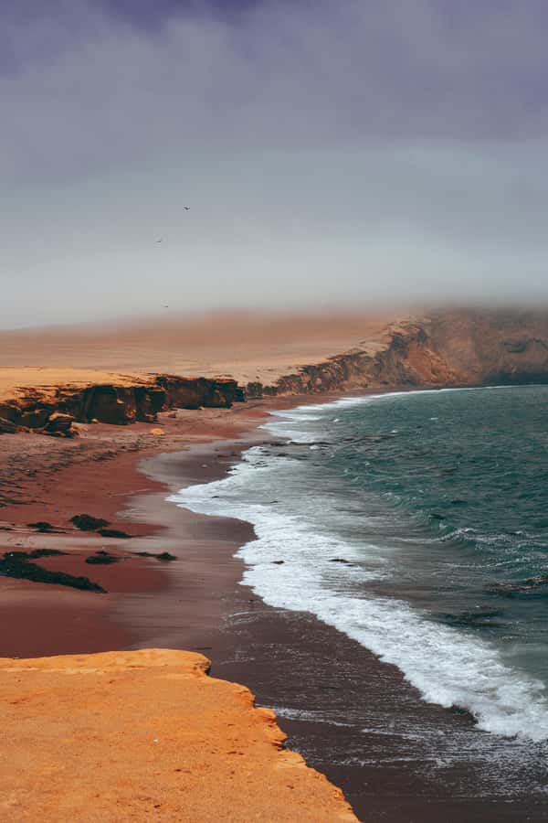 Paracas: Ballestas Islands Boat tour - Islas Ballestas - Key points to know before booking