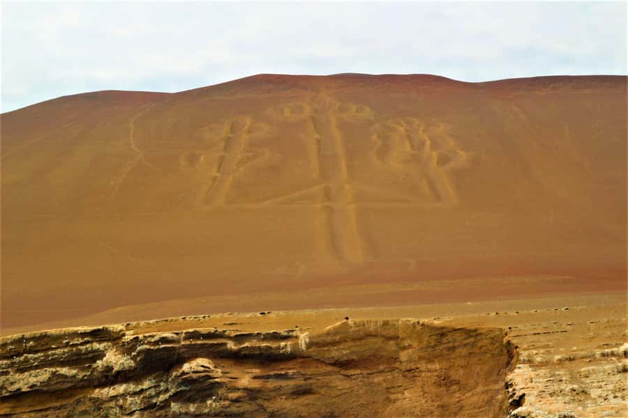 Paracas: Ballestas Islands Guided Boat Tour - Sea lions, penguins, and thousands of seabirds