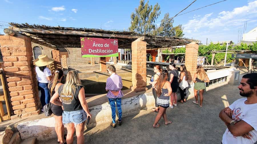 Paracas or Pisco: Private Huacachina Oasis Tour & Buggy Ride - One hour across the Ica dunes