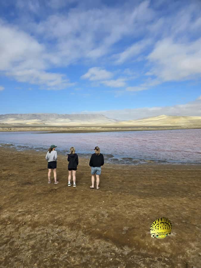 Paracas:Private Tours Paracas National Reserve all inclusive - Why Paracas National Reserve is worth your time