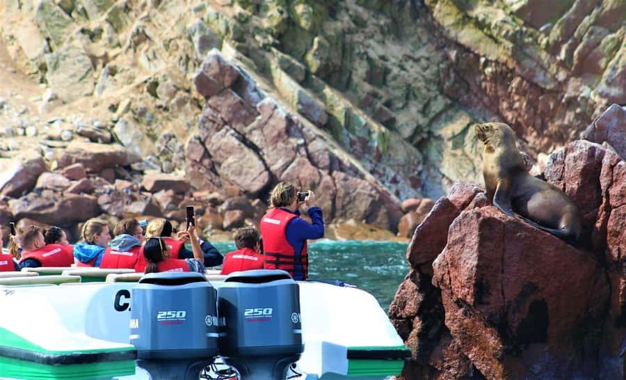 Paracas: speedboat BALLESTAS ISLANDS TOUR - The speedboat ride and what 2 hours really means