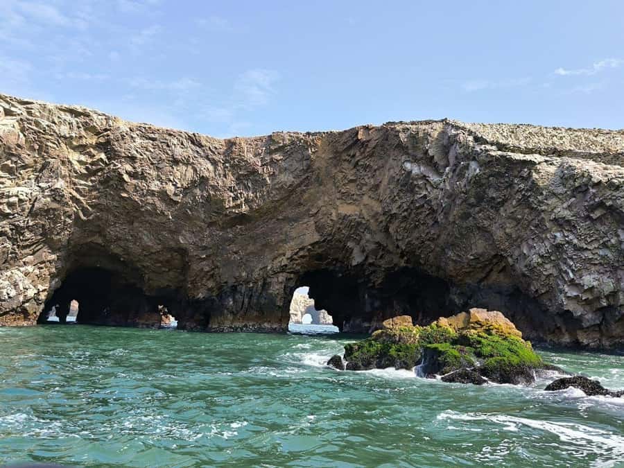 Paracas: speedboat BALLESTAS ISLANDS TOUR - Birds, penguins, sea lions, and dolphins