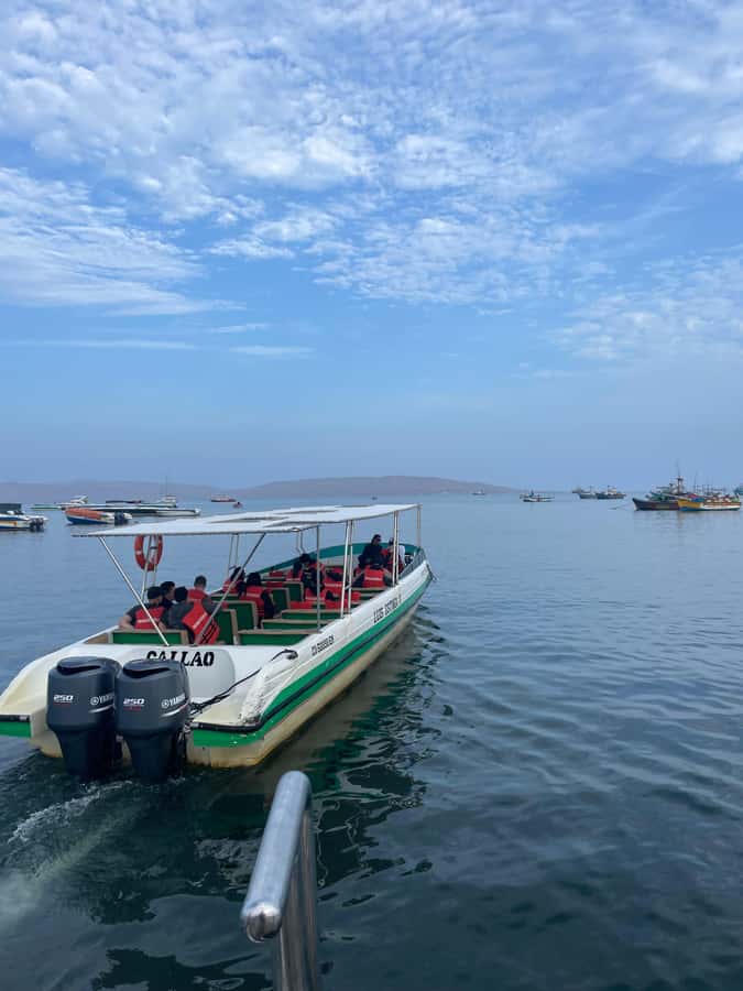 Paracas: speedboat BALLESTAS ISLANDS TOUR - What the price includes, and what it does not