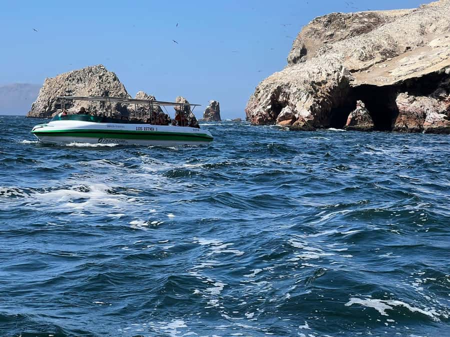 Paracas: speedboat BALLESTAS ISLANDS TOUR - Meeting at Plaza El Chaco