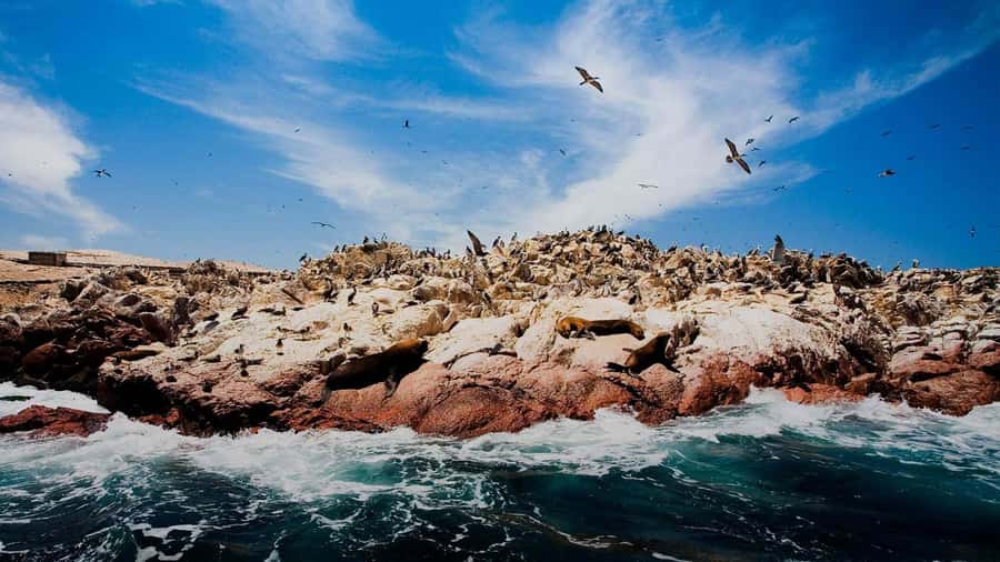 PARACAS|| Sunset trekking in the Paracas National Reserve - A late-afternoon route through Paracas National Reserve
