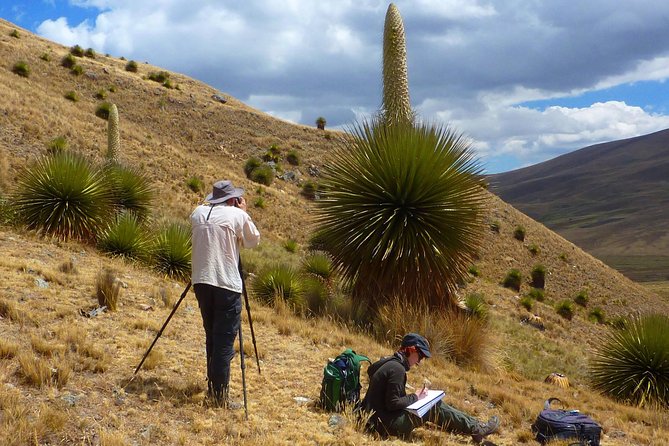 Pastoruri Glacier - Why this day trip is worth your time from Huaraz