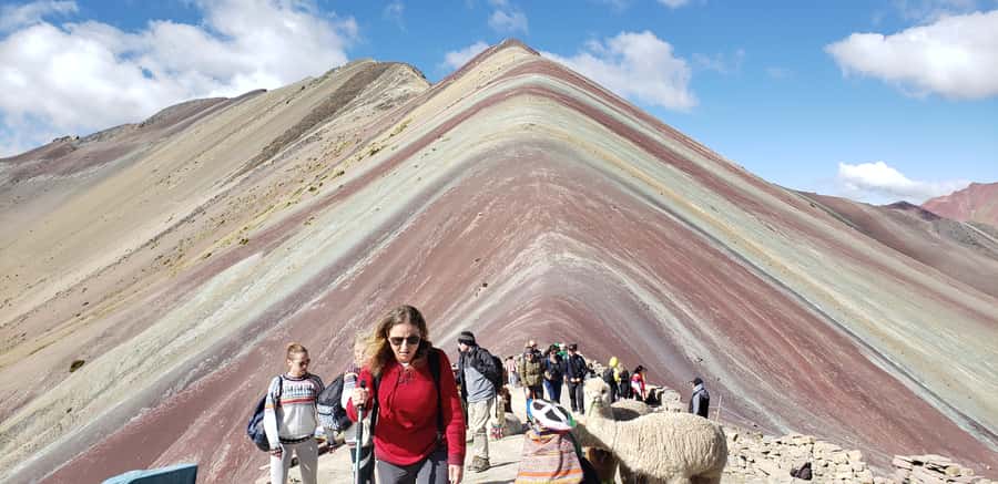 Peru: Rainbow Mountain and Red Valley View Point Tour - Alpacas, llamas, and the quiet details along the way