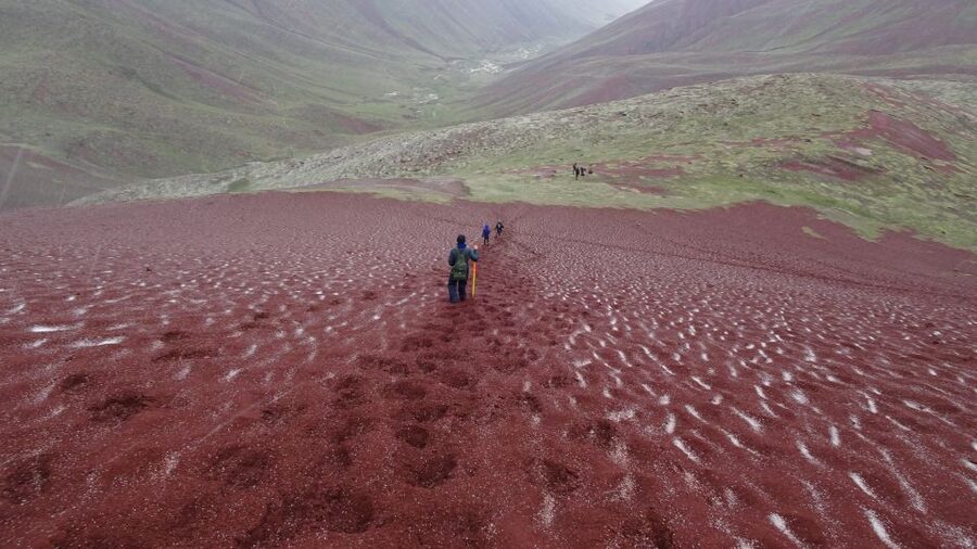 Peru: Rainbow Mountain and Red Valley View Point Tour - Is $89 a fair price?