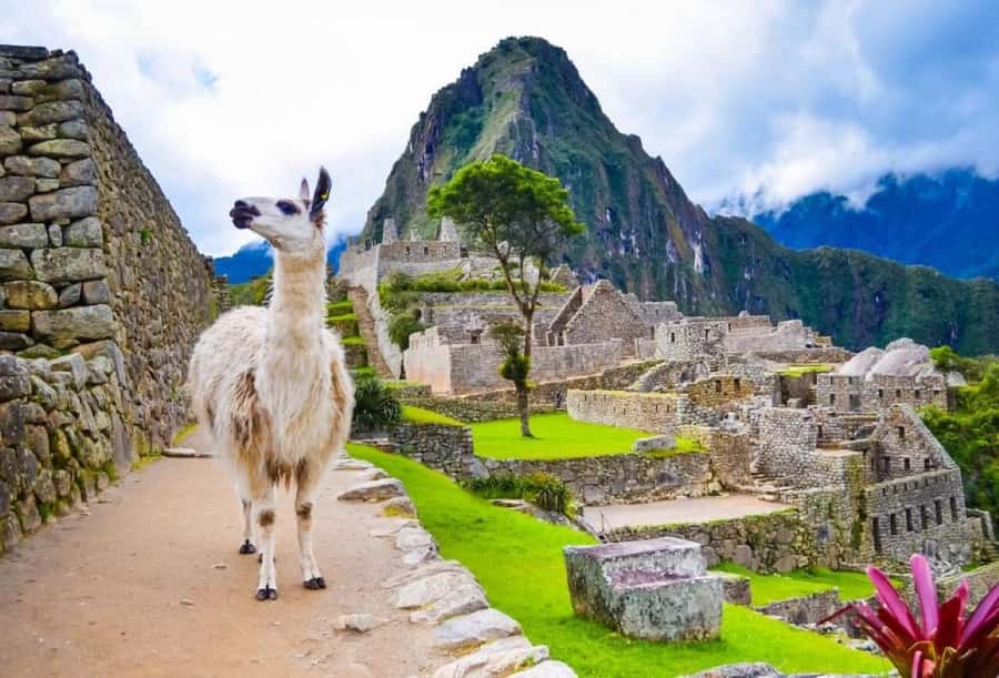 Private Guide in Machu Picchu for 3 Hours - The sights that give the tour its value