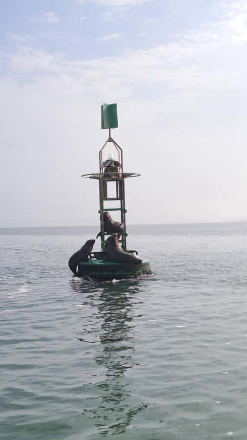 Private Tour: Ballestas Island & Huacachina Oasis, from Lima - Who will enjoy this tour most?