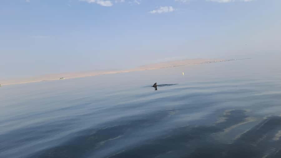 Private Tour: Ballestas Island & Huacachina Oasis, from Lima - The long move from Paracas to Ica