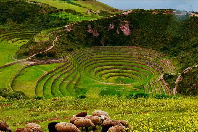 Private Tour Sacred Valley, Chinchero, Maras Moray, Ollantaytambo - Who should book this day