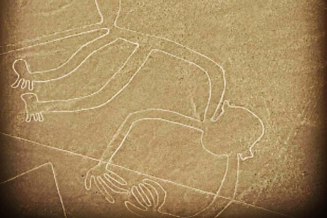 Private Tour to the Astonished Nazca Lines and Huacachina Oasis - What the private guide and driver add
