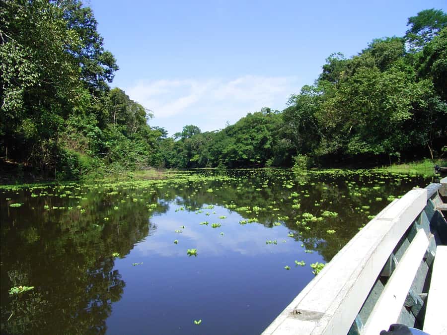 Puerto Maldonado: 2-Day Peruvian Tambopata Jungle Trip - Packing for heat, water, and limited electricity
