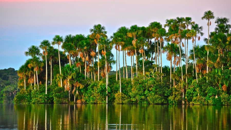 Puerto Maldonado: 2-Day Peruvian Tambopata Jungle Trip - What two days in Tambopata really gives you