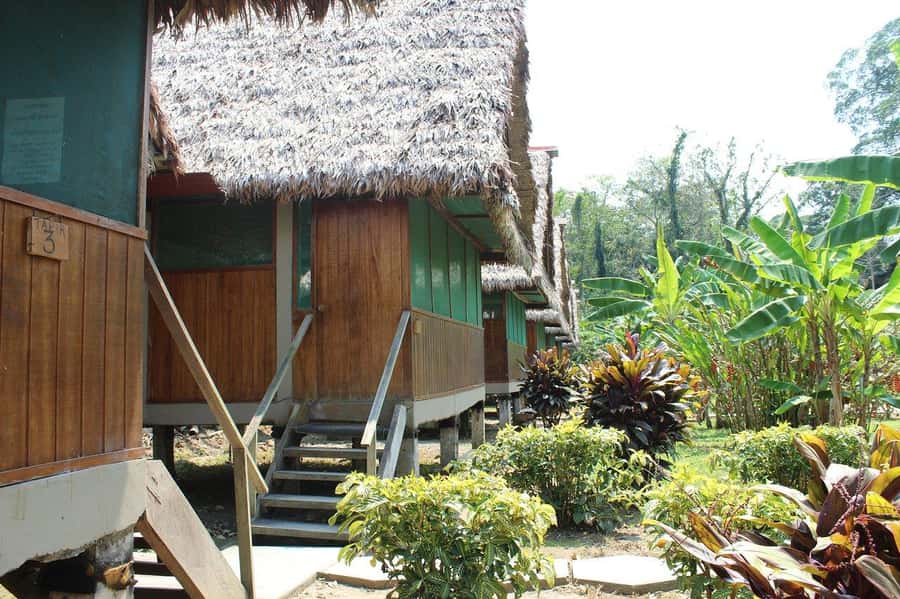 Puerto Maldonado: 2-Day Peruvian Tambopata Jungle Trip - The 1.5-hour walk to Lake Sandoval