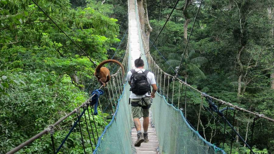 Puerto Maldonado: 2-Day Peruvian Tambopata Jungle Trip - What is included for $280