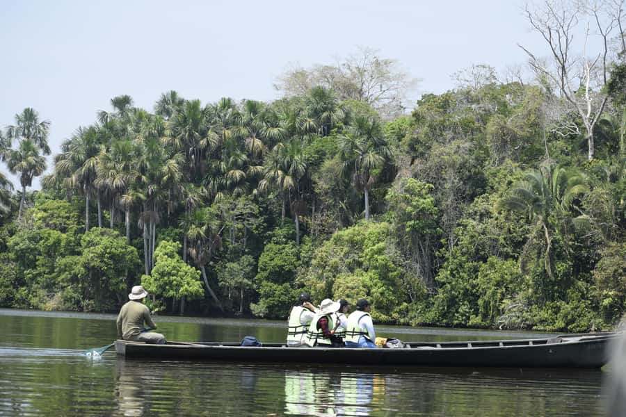 Puerto Maldonado: 4-Day Tambopata Rainforest Tour - Quick points before you book