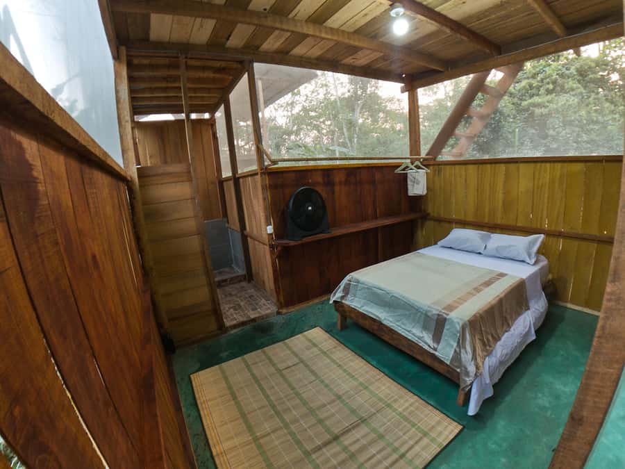 Puerto Maldonado: 4-Day Tambopata Rainforest Tour - Day 2: Sloths, caimans, and the long visit to Lake Sandoval