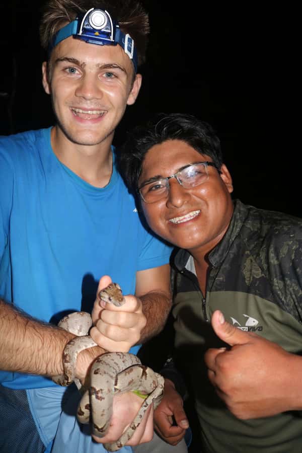 Puerto Maldonado: Jungle Night Tour with Sloths & Tarantulas - What the Tambopata forest becomes after sunset