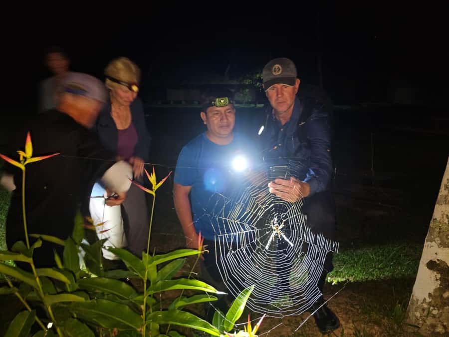 Puerto Maldonado: Jungle Night Tour with Sloths & Tarantulas - Starting in Puerto Maldonado and heading into the reserve
