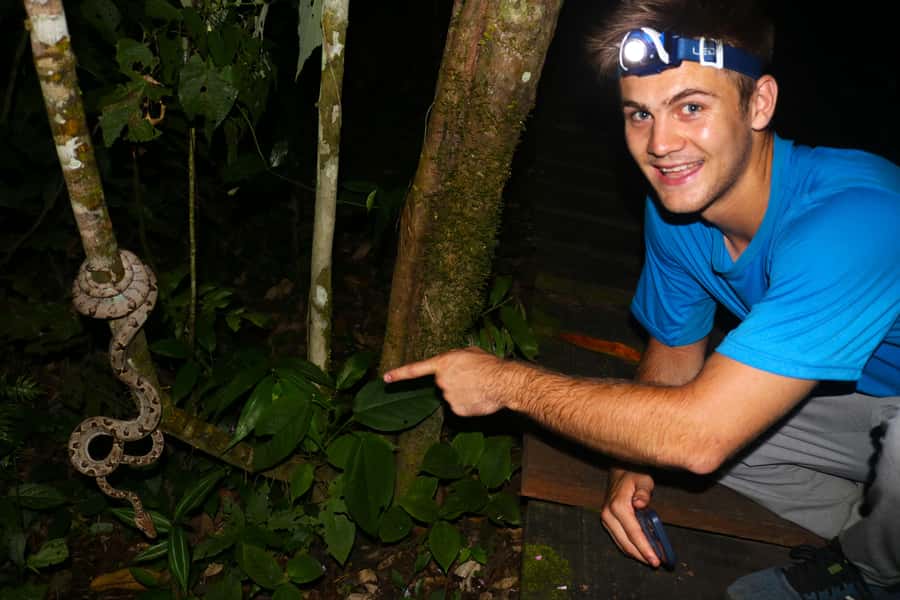Puerto Maldonado: Jungle Night Tour with Sloths & Tarantulas - Tarantulas, sloths, and the smaller surprises