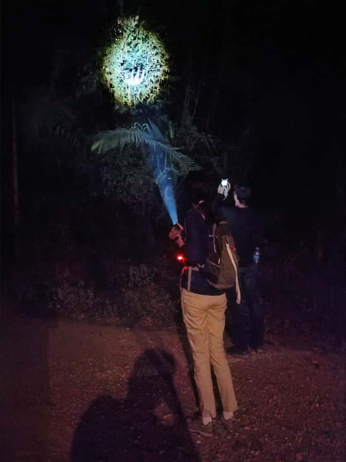 Puerto Maldonado: Jungle Night Tour with Sloths & Tarantulas - Who will enjoy this night walk most
