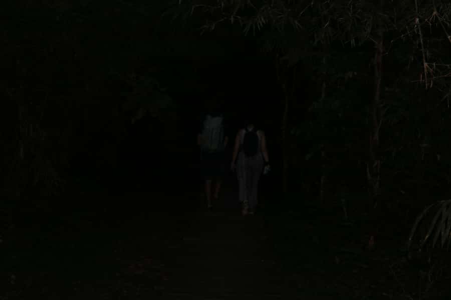 Puerto Maldonado: Jungle Night Tour with Sloths & Tarantulas - FAQ