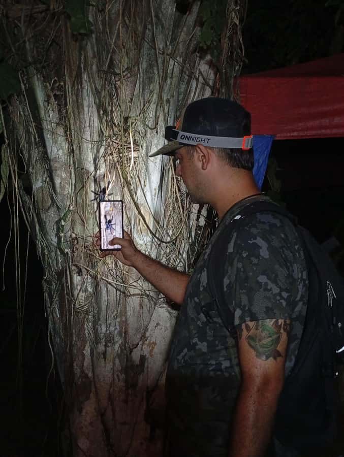 Puerto Maldonado: Jungle Night Tour with Sloths & Tarantulas - Two hours of searching, not a guaranteed animal show