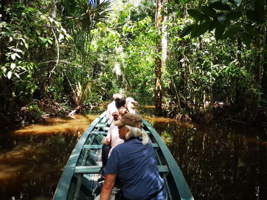 Puerto Maldonado: Lago Sandoval Day Trip with Lunch - Reaching the lake by rowboat