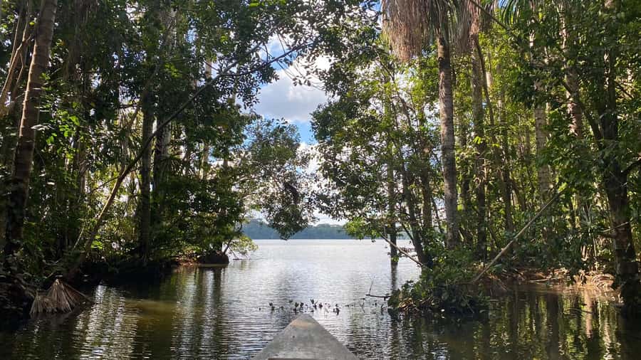 Puerto Maldonado: Sandoval Lake 4-Day, 3-Night Guided Tour - Why four days works well in Puerto Maldonado