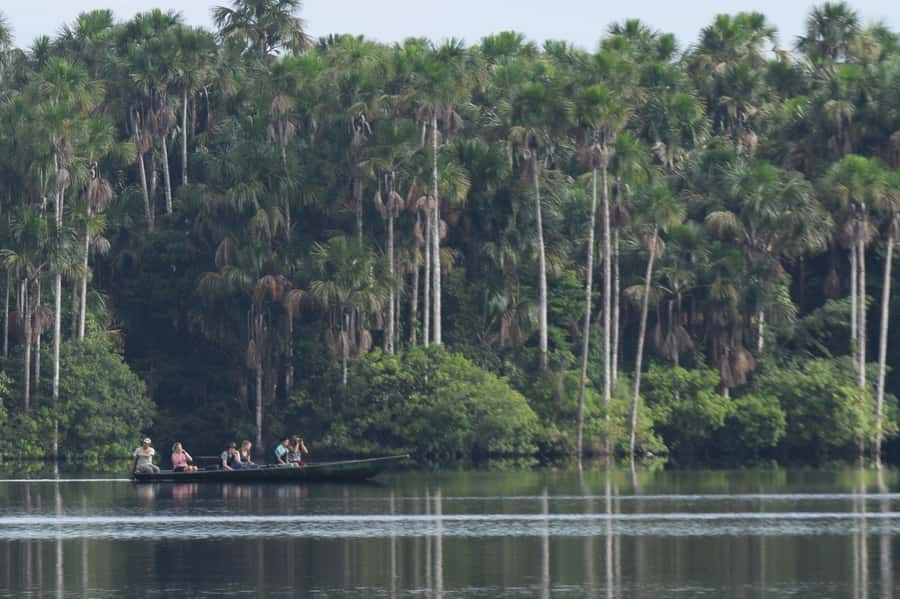 Puerto Maldonado: Sandoval Lake Full-Day Trip with Canoeing - Walking 55 minutes into Tambopata National Reserve