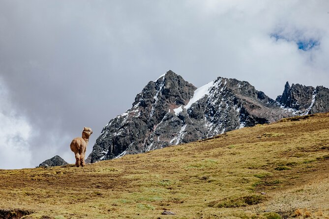 Rainbow Mountain and Red Valley Hike – 2 Days / 1 Night - Day two: an early walk to Vinicunca