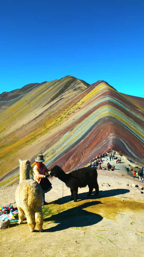 rainbown mountain Vinicunca 1 day - Key points to know before booking