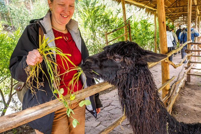 Sacred Valley and Machu Picchu Tour in 2 days with Peru Vip - The early morning visit to Machu Picchu
