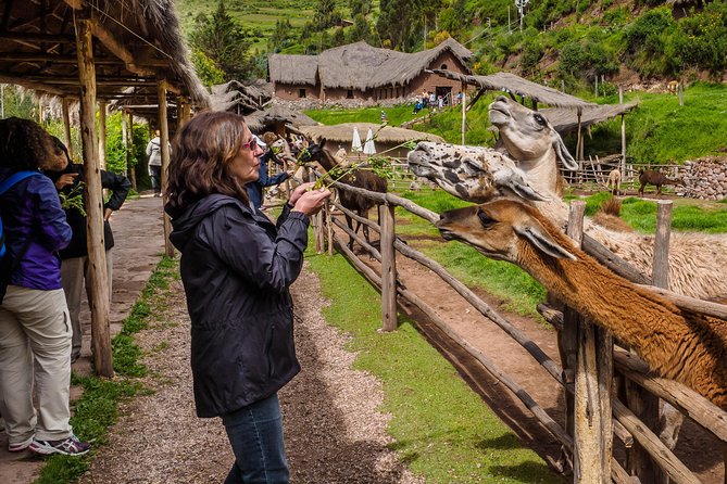 Sacred Valley and Machu Picchu Tour in 2 days with Peru Vip - Lunch and the return to Cusco