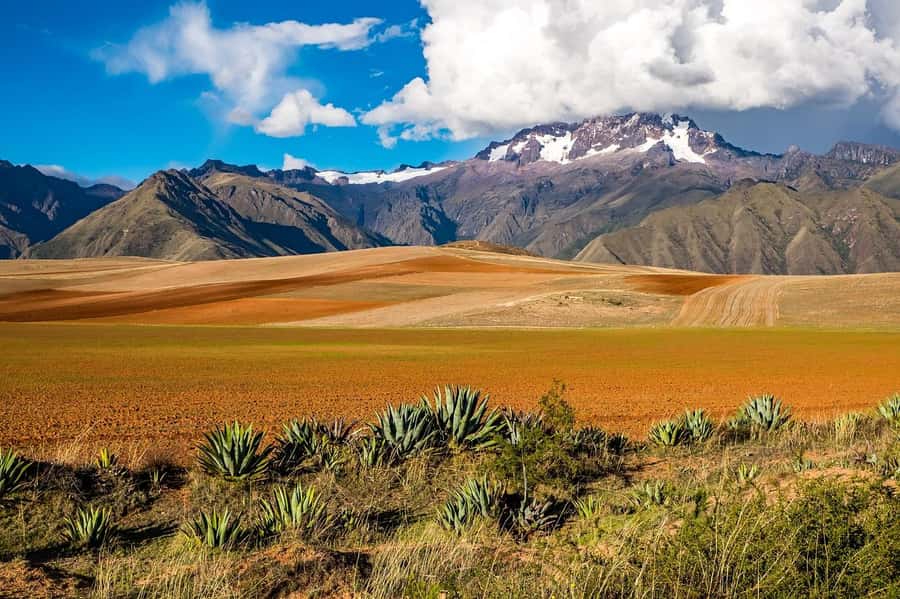 Sacred Valley: Chinchero, Moray, Ollantaytambo & Pisac+Lunch - Urubamba buffet: the day’s most welcome pause