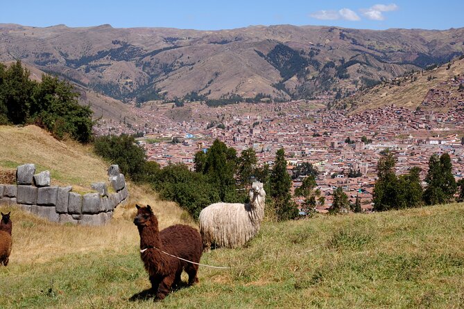 Sacsayhuaman Temple, Tambomachay and Puca Pucara Half-Day Tour - Tambomachay: sacred springs in the hills