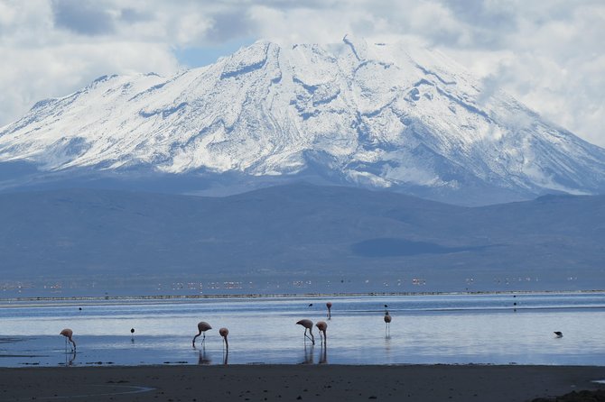 Salinas National Reserve PRIVATE TOUR - Four hours around the white salt lagoon