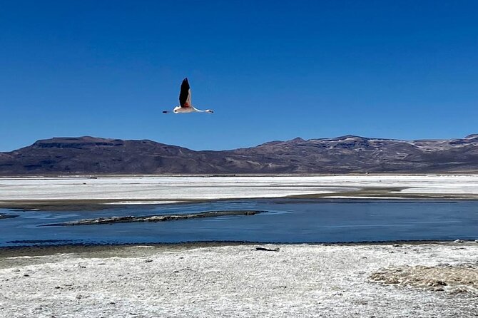 Salinas National Reserve PRIVATE TOUR - A picnic lunch with a view
