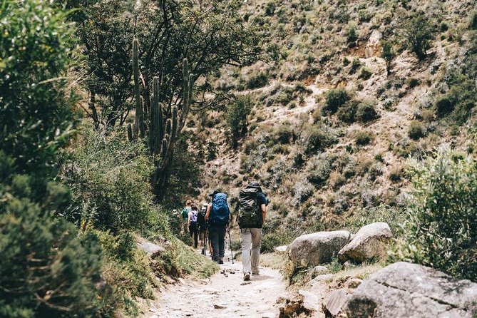 Short Inca Trail 2 Day Hike to Machu Picchu with Permits & Train - The early bus to Machu Picchu on day two