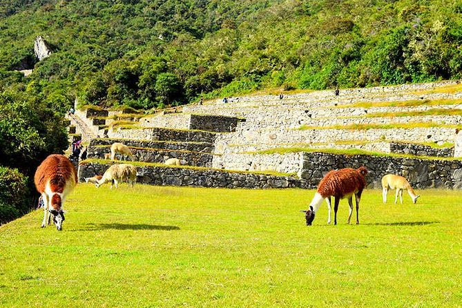 Small Group: 4-Day Inca Trail Trek to Machu Picchu - Day 3: Runkurakay, Sayacmarca, and Wiñayhuayna