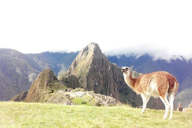 Small-Group Day Tour to Machu Picchu - The train from Ollantaytambo follows the Urubamba River