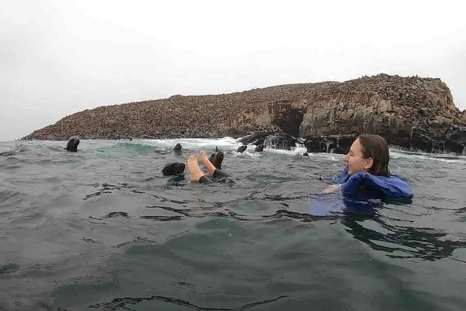 Swimming with Sea Lions in Lima - From Lima to Callao at 10 a.m.