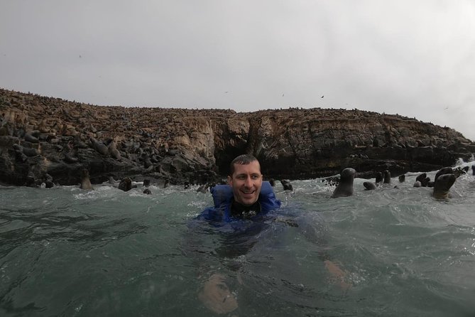 Swimming with Sea Lions in Lima - The Callao islands and their bird colonies