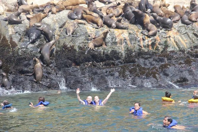 Swimming with Sea Lions in Lima - Swimming with sea lions in the open Pacific
