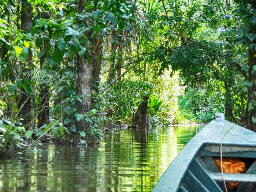 Tambopata: Lake Sandoval Canoeing with Lunch - Key points to know before you go