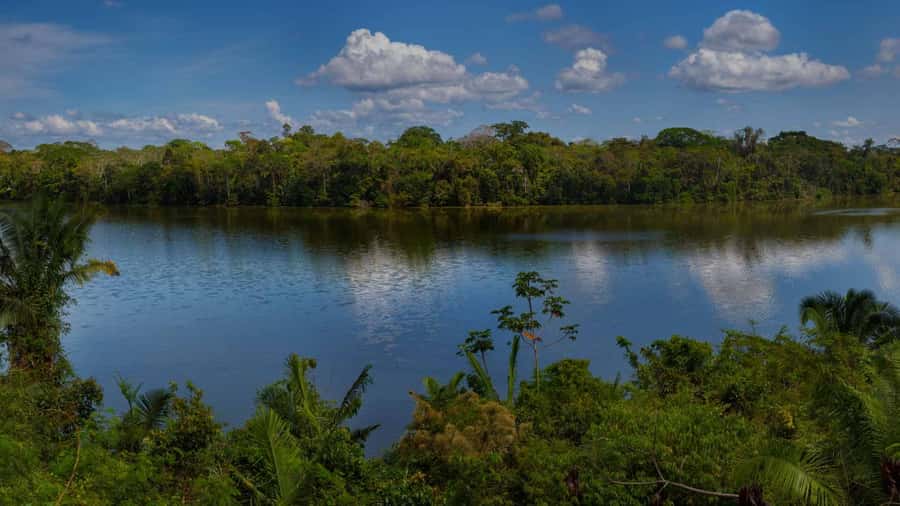 Tambopata: Lake Sandoval Canoeing with Lunch - Canoeing on Lake Sandoval
